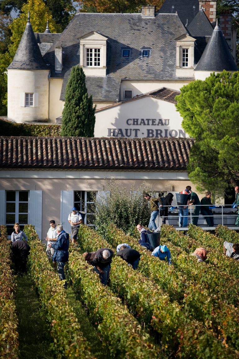 chateau-haut-brion-vendanges