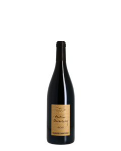 Domaine Antoine Sanzay 2018 Rouge