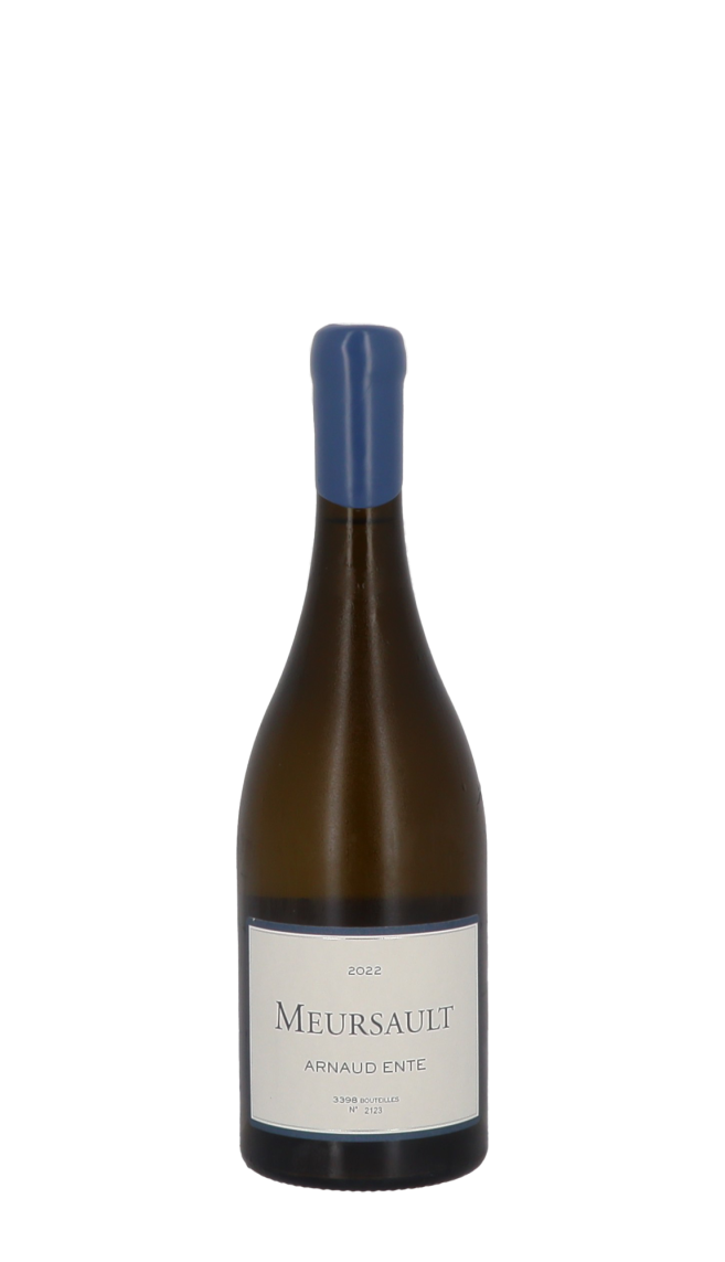 Domaine Arnaud Ente 2022 Blanc