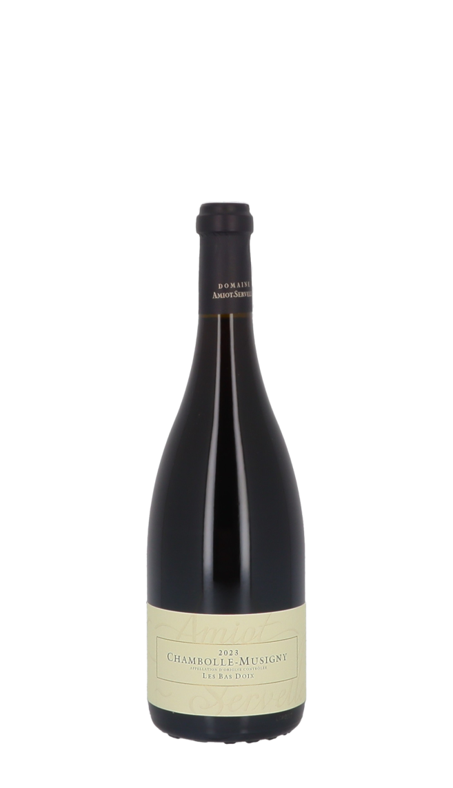 Domaine Amiot-Servelle