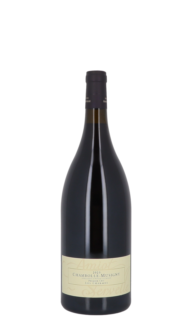 Domaine Amiot-Servelle