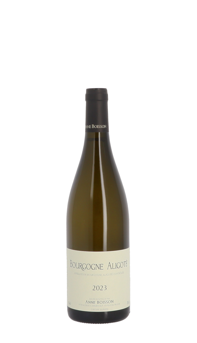 Anne Boisson 2023 Blanc