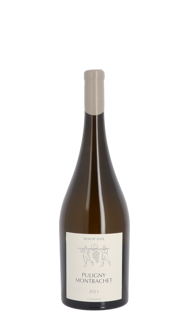Domaine Benoit Ente 2023 Blanc