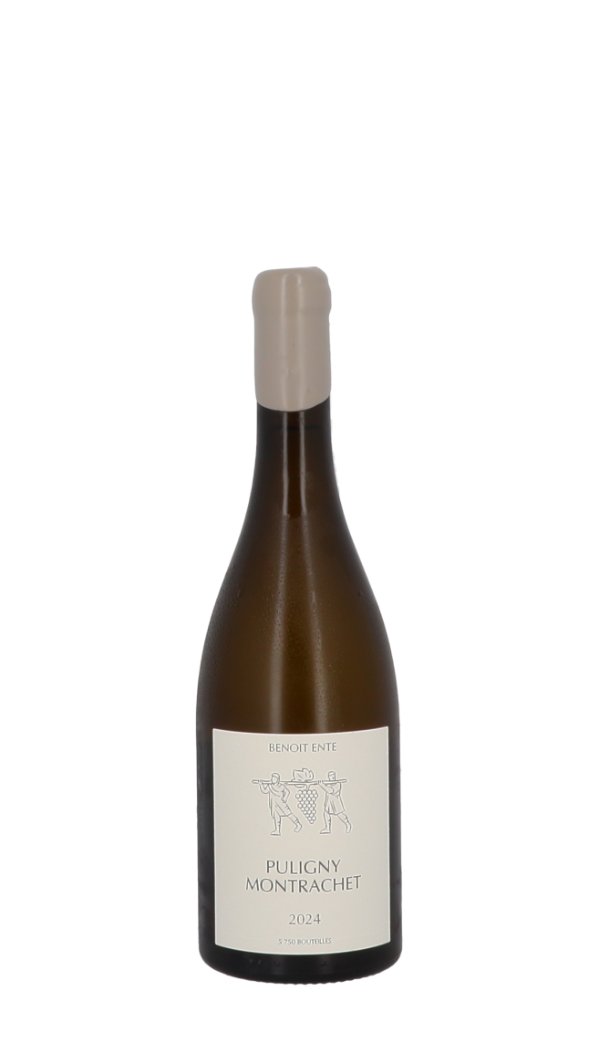 Domaine Benoit Ente 2024 Blanc