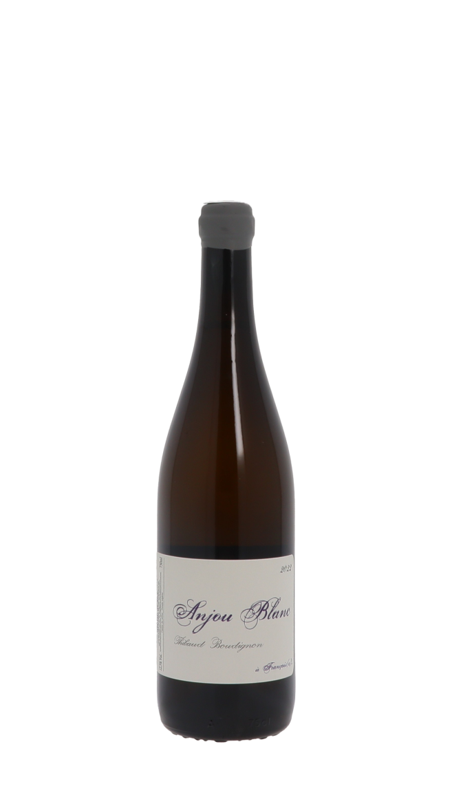 Domaine Thibaud Boudignon