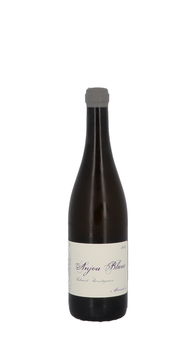 Domaine Thibaud Boudignon