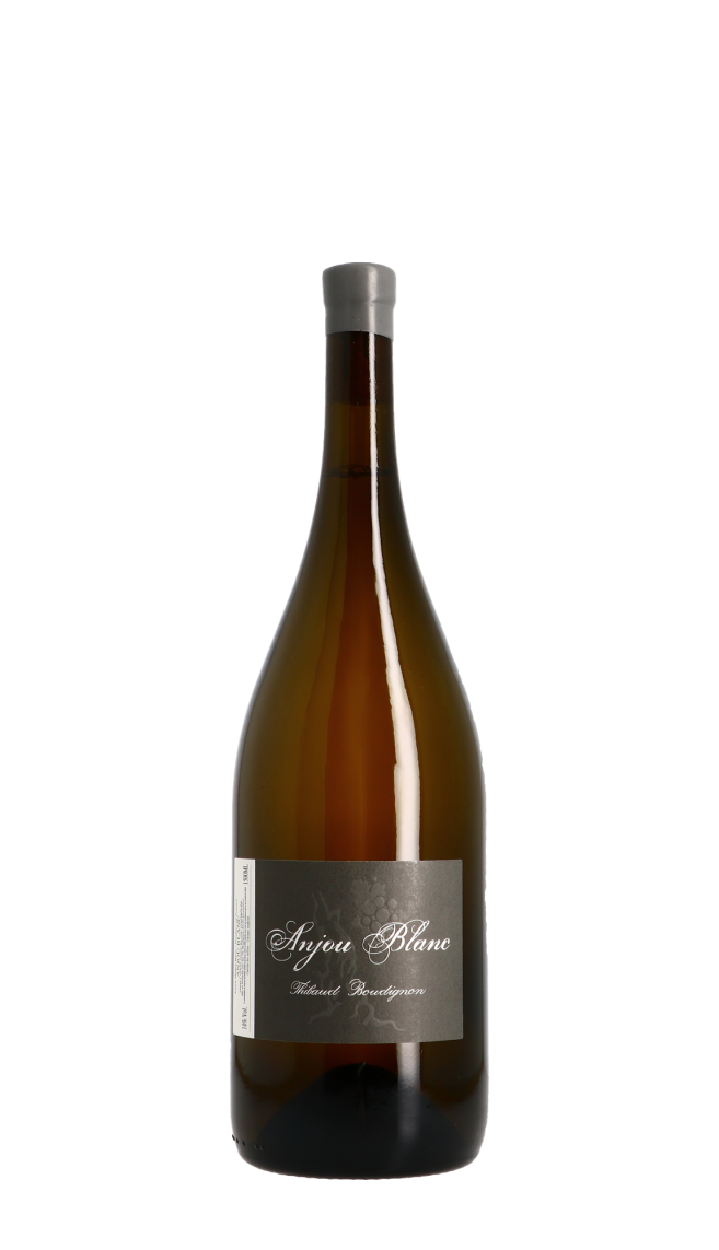 Domaine Thibaud Boudignon 2020 Blanc