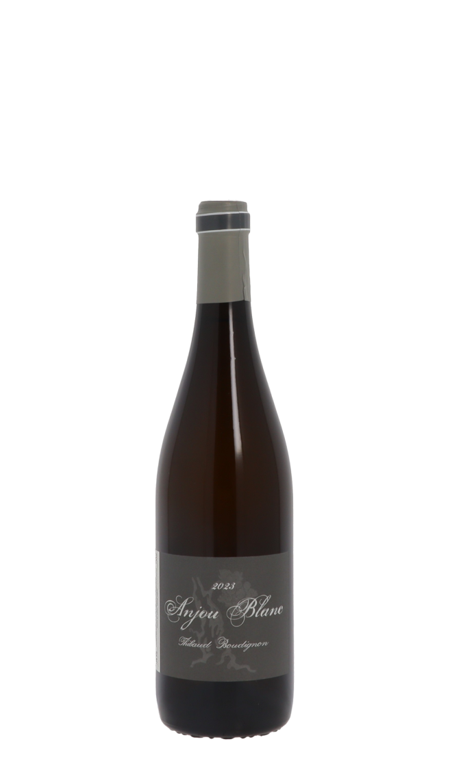Domaine Thibaud Boudignon 2023 Blanc