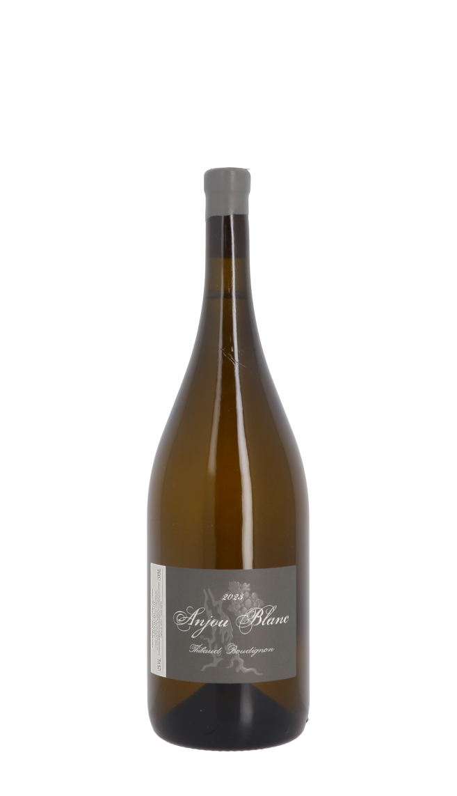Domaine Thibaud Boudignon 2023 Blanc