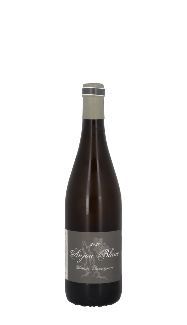 Domaine Thibaud Boudignon 2024 Blanc