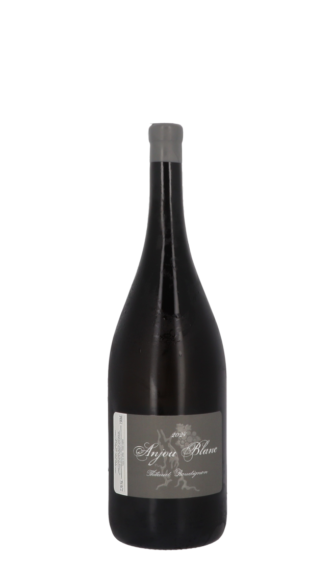 Domaine Thibaud Boudignon 2024 Blanc