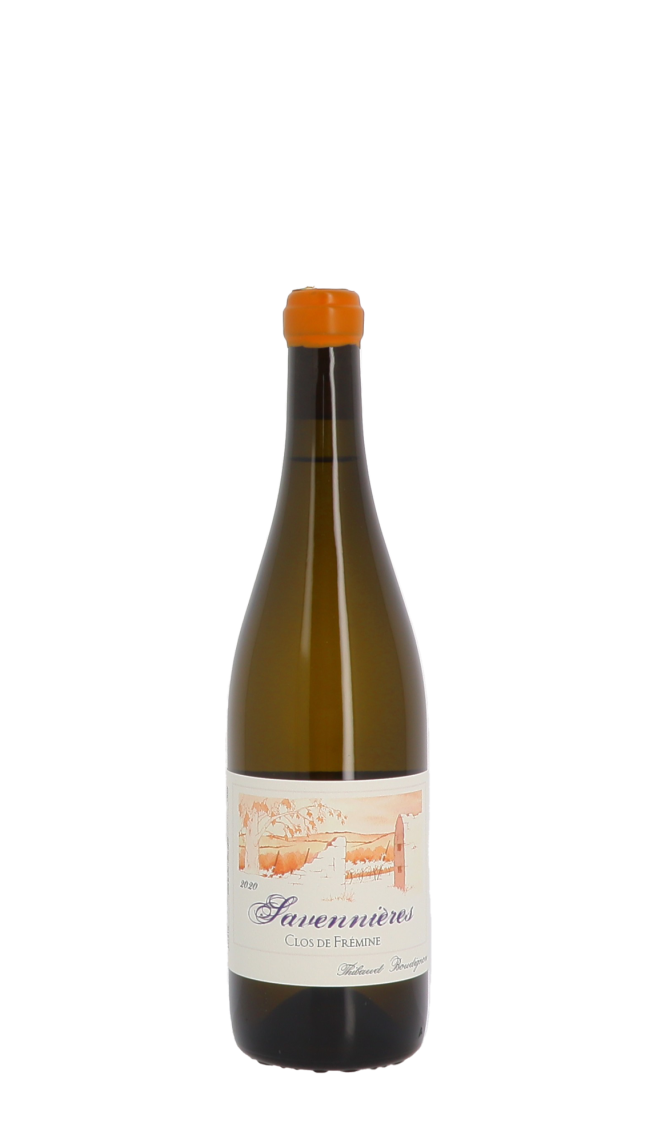 Domaine Thibaud Boudignon