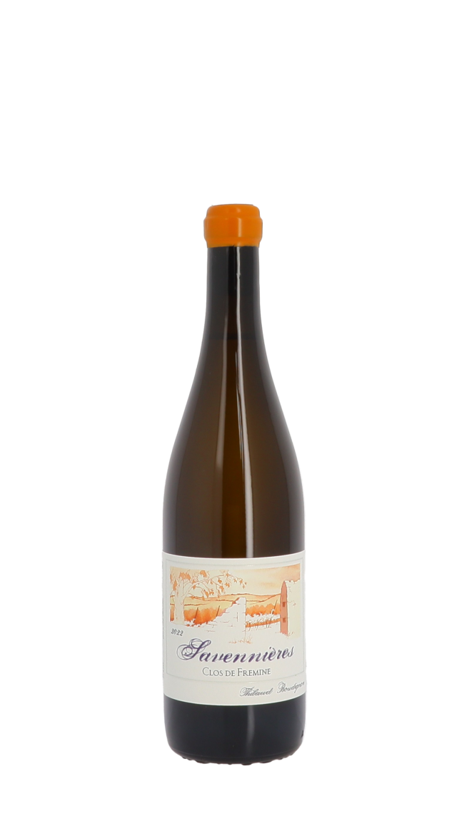 Domaine Thibaud Boudignon