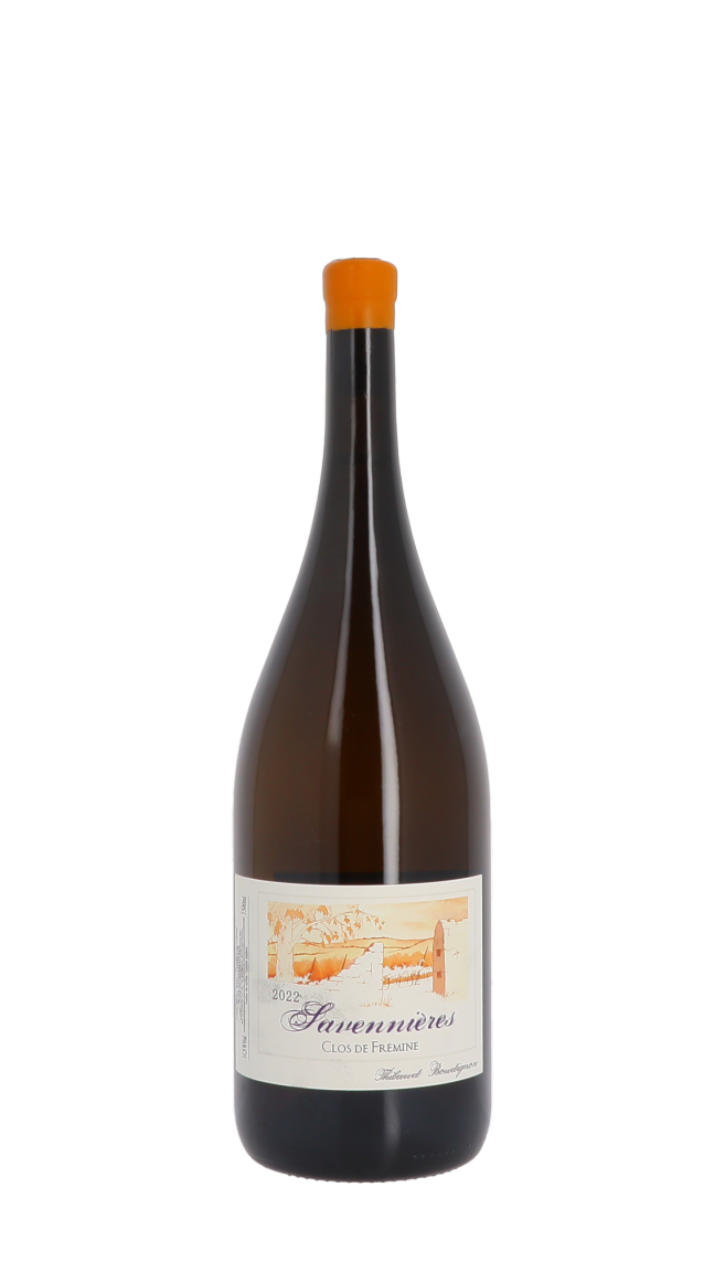 Domaine Thibaud Boudignon