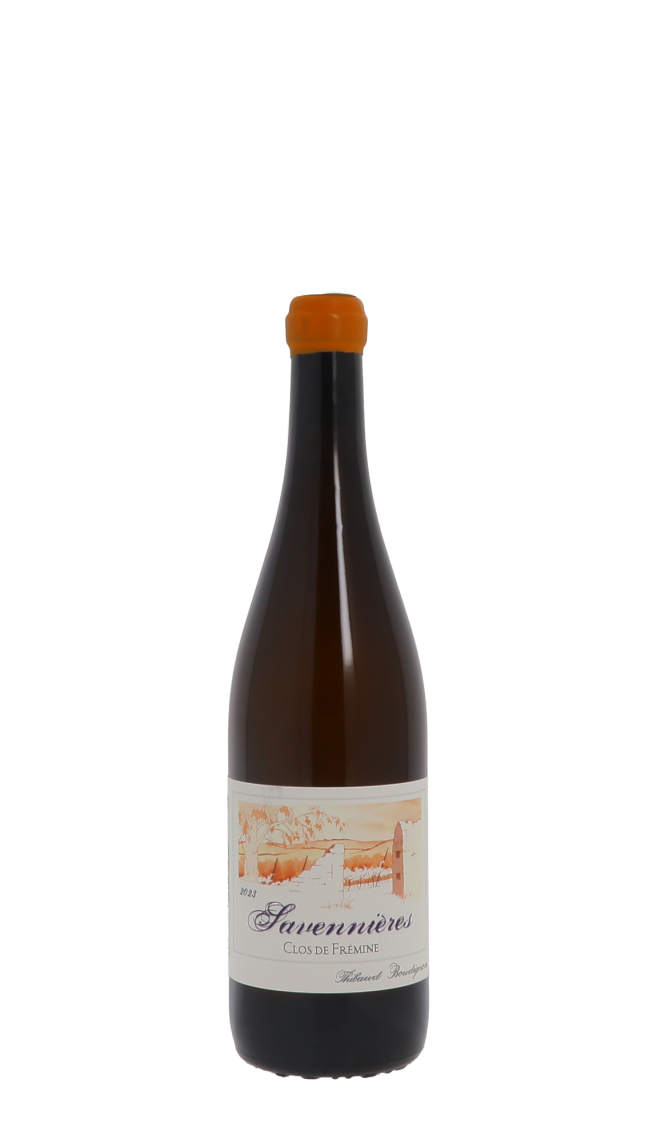 Domaine Thibaud Boudignon Domaine Thibaud Boudignon