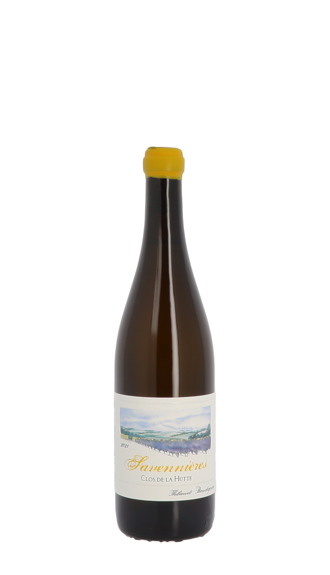 Domaine Thibaud Boudignon