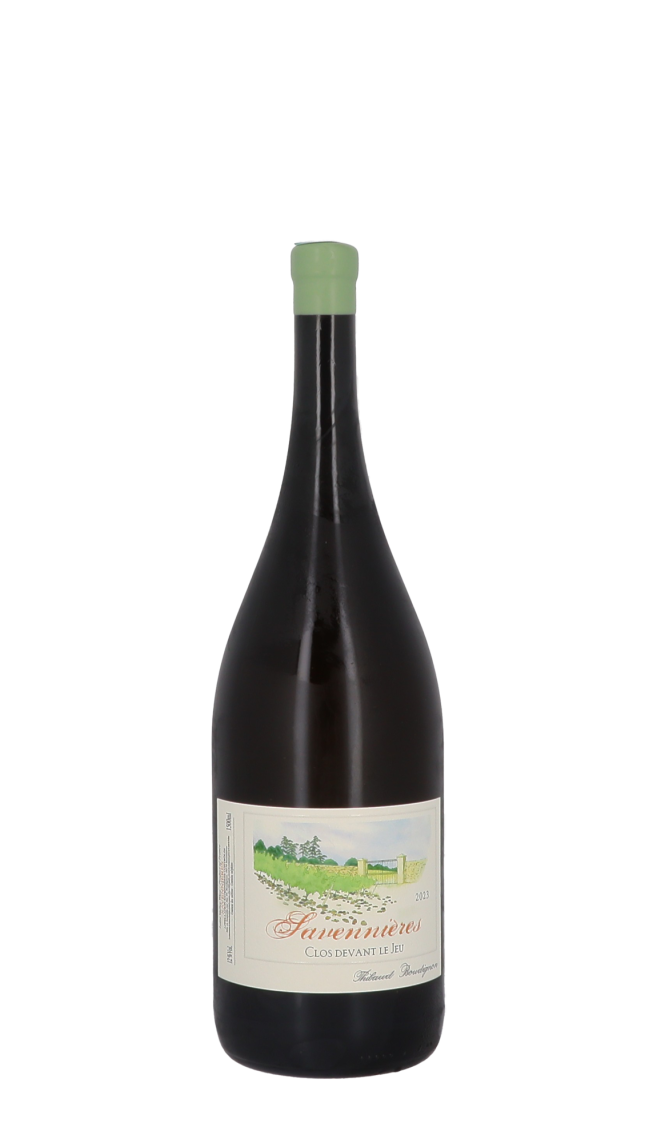 Domaine Thibaud Boudignon