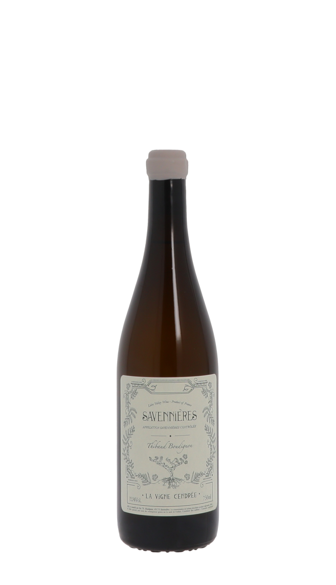 Domaine Thibaud Boudignon