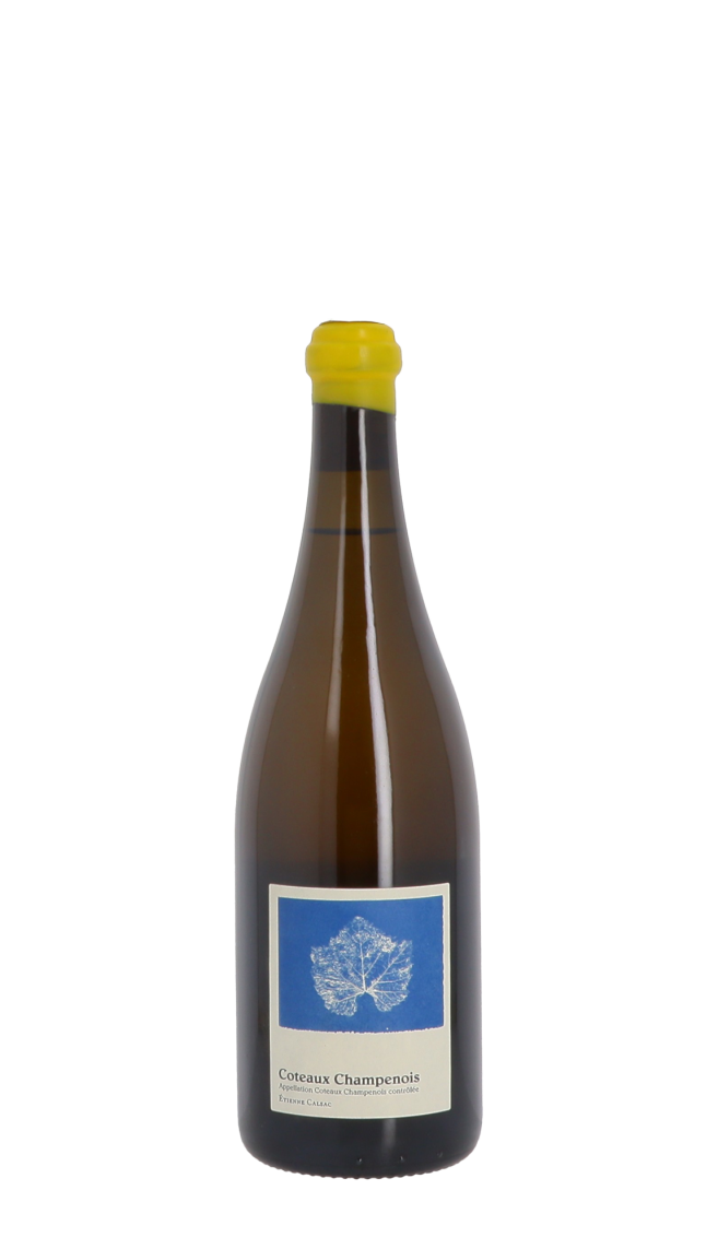 Champagne Etienne Calsac 2021 Blanc
