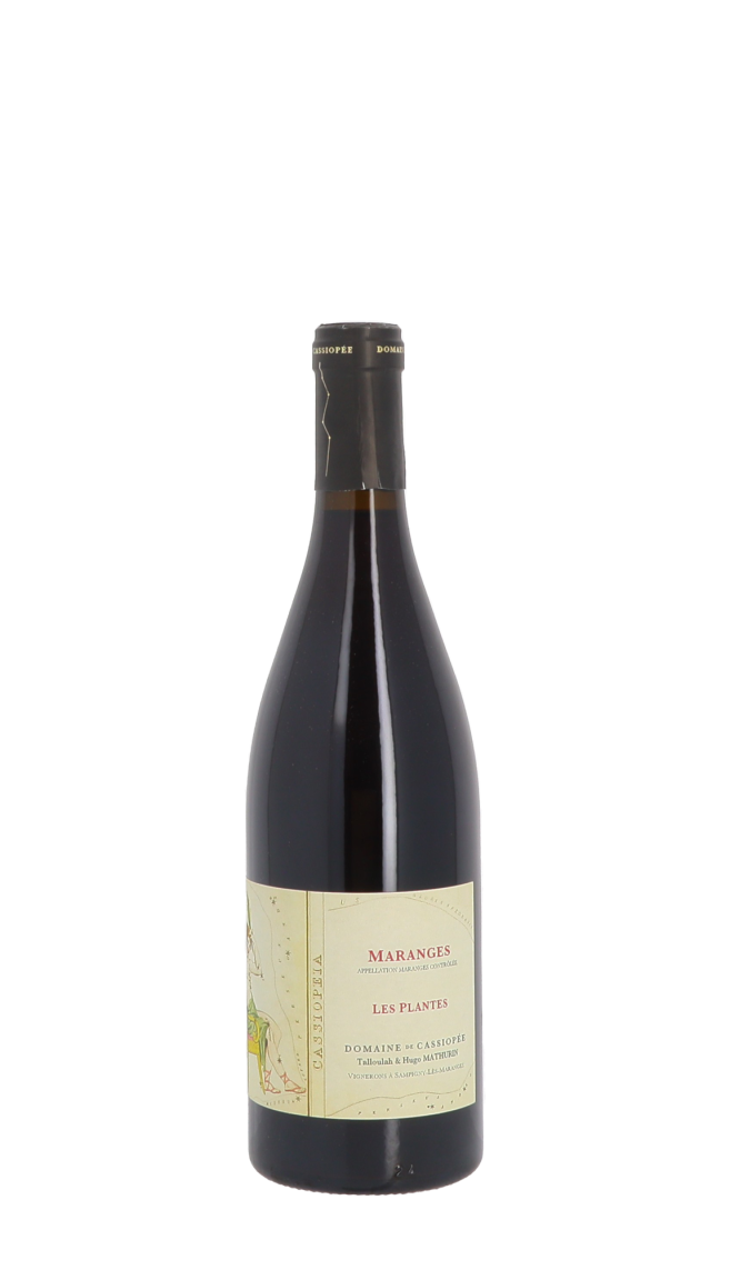 Domaine de Cassiopée