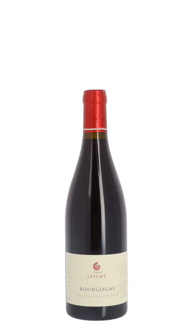 Domaine David Lefort 2022 Rouge Domaine David Lefort 2022 Rouge