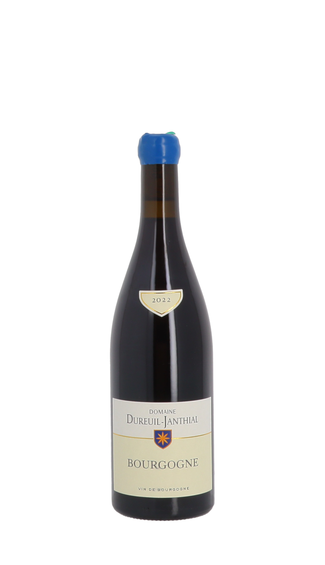 Domaine Vincent Dureuil-Janthial 2022 Rouge