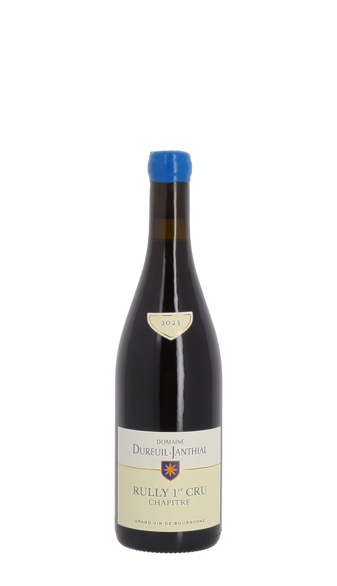 Domaine Vincent Dureuil-Janthial