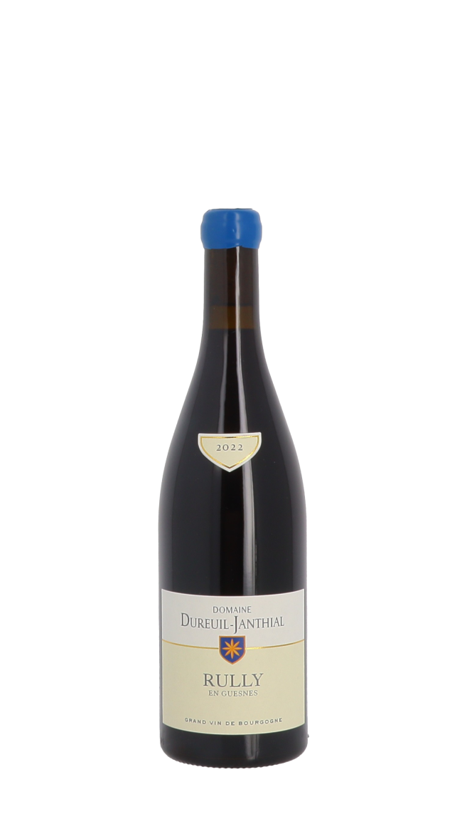 Domaine Vincent Dureuil-Janthial
