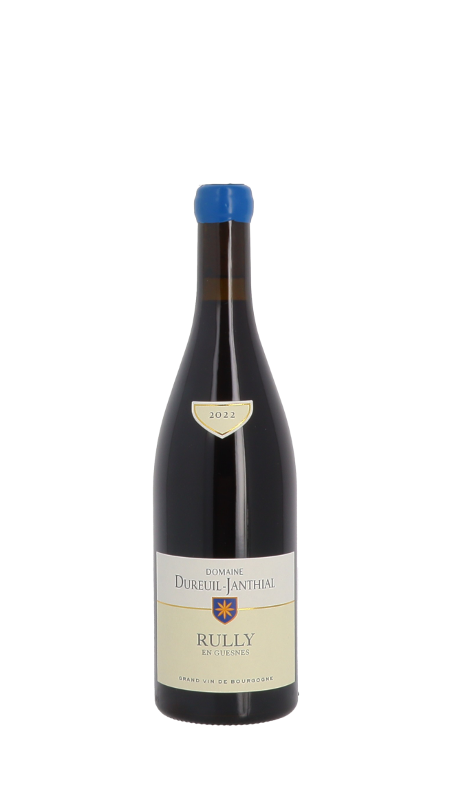Domaine Vincent Dureuil-Janthial Domaine Vincent Dureuil-Janthial