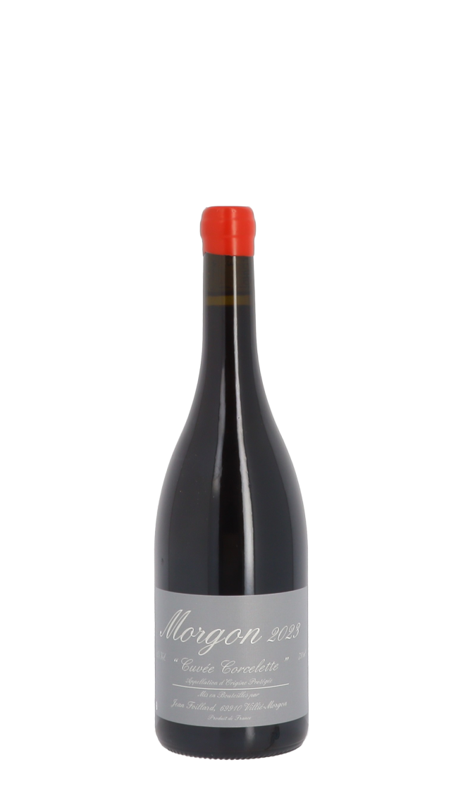Domaine Jean Foillard