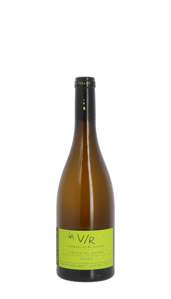 Domaine A. Gros et J.P. Tollot Domaine A. Gros et J.P. Tollot
