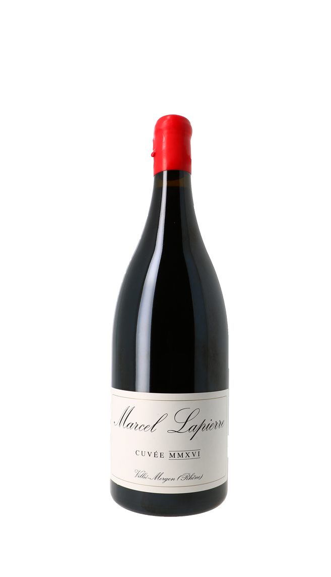 Domaine Marcel Lapierre