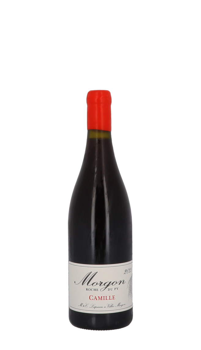 Domaine Marcel Lapierre