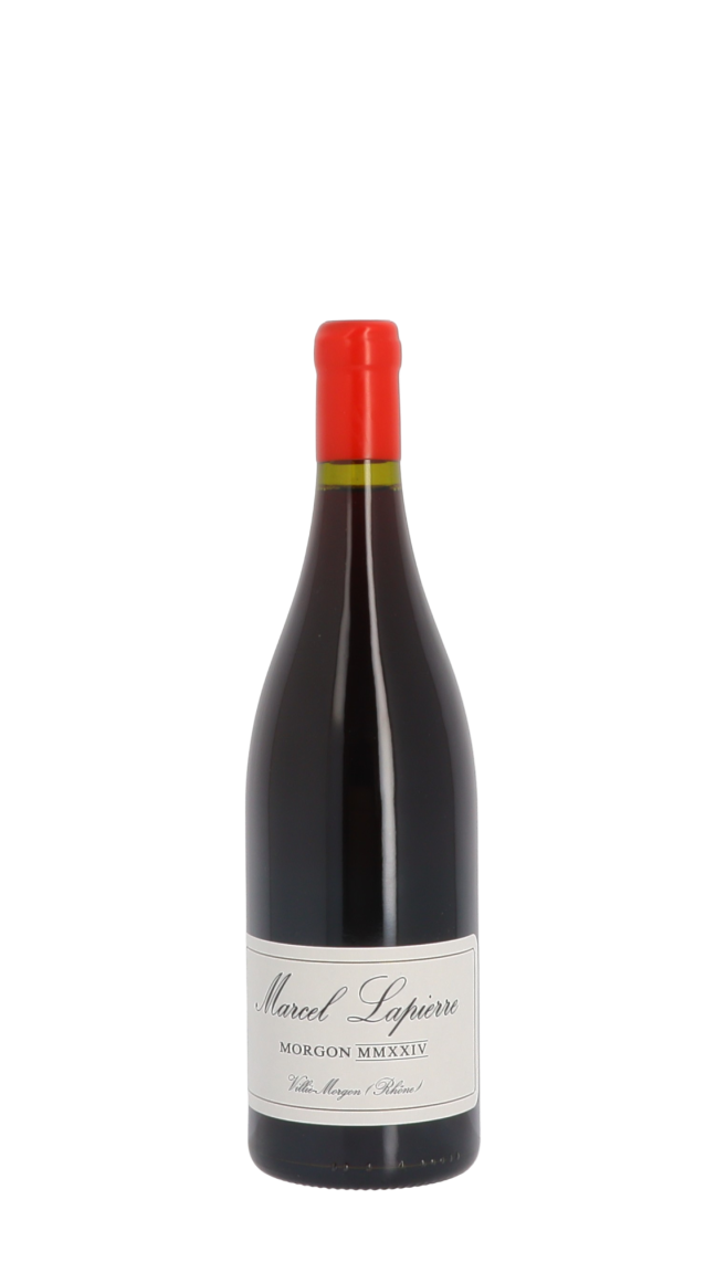 Domaine Marcel Lapierre