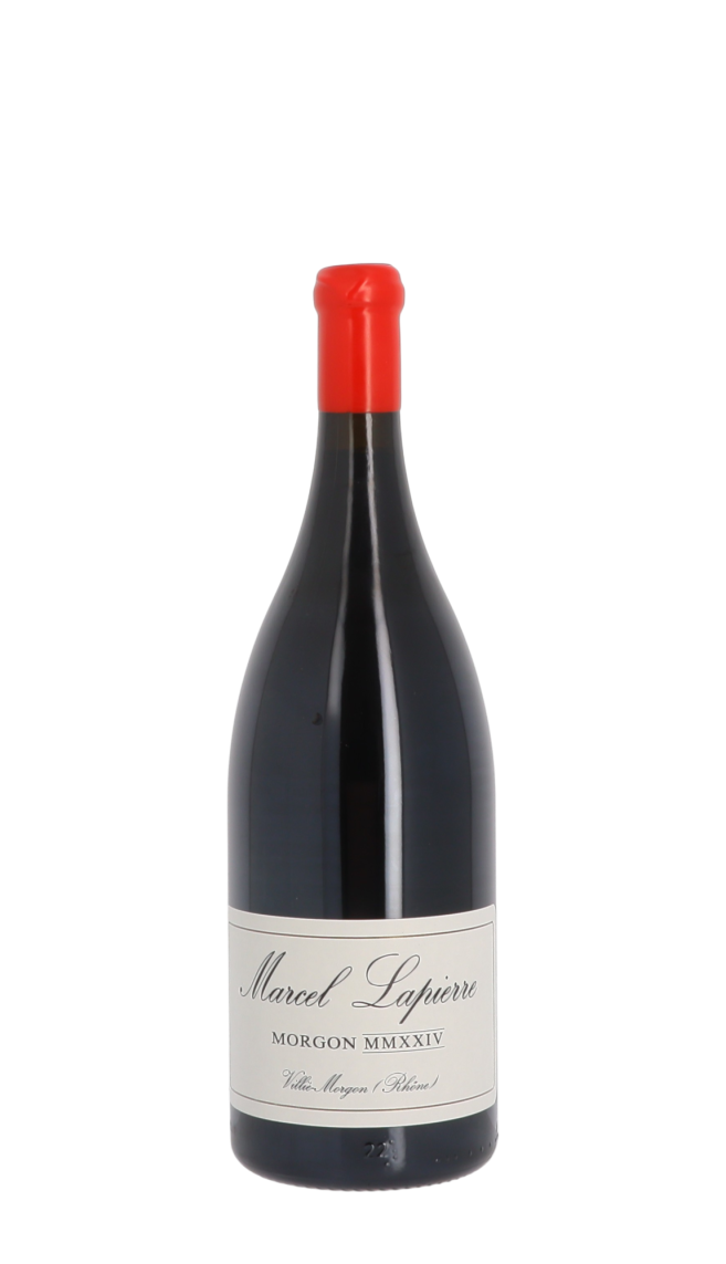 Domaine Marcel Lapierre