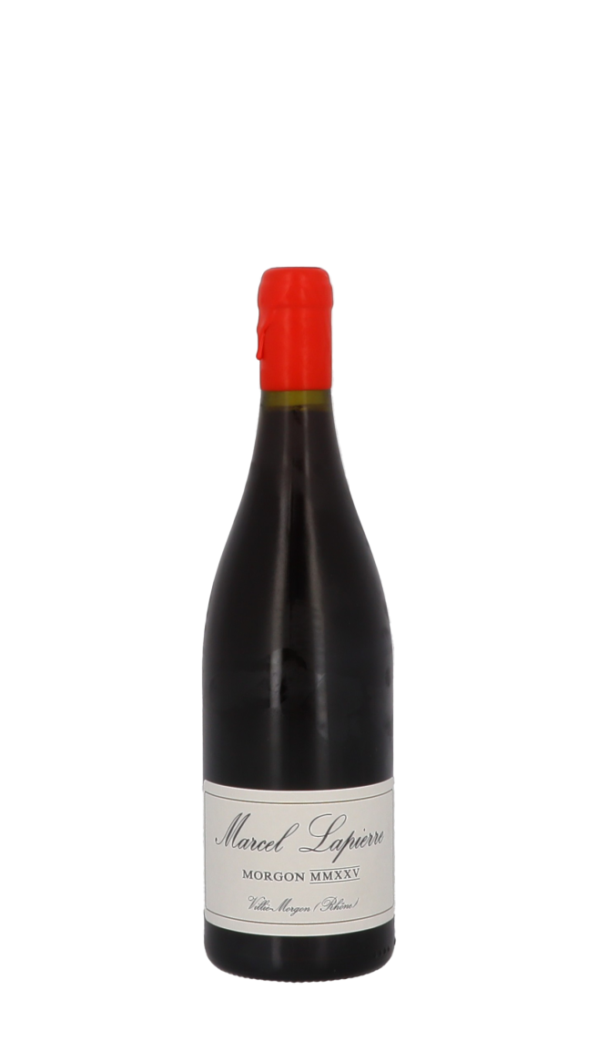Domaine Marcel Lapierre
