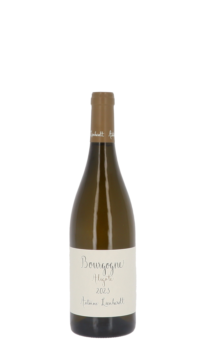 Domaine Antoine Lienhardt 2023 Blanc