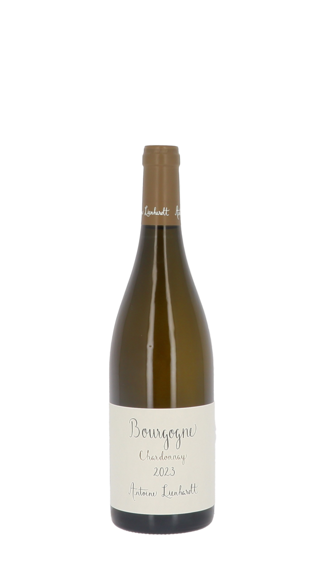 Domaine Antoine Lienhardt 2023 Blanc