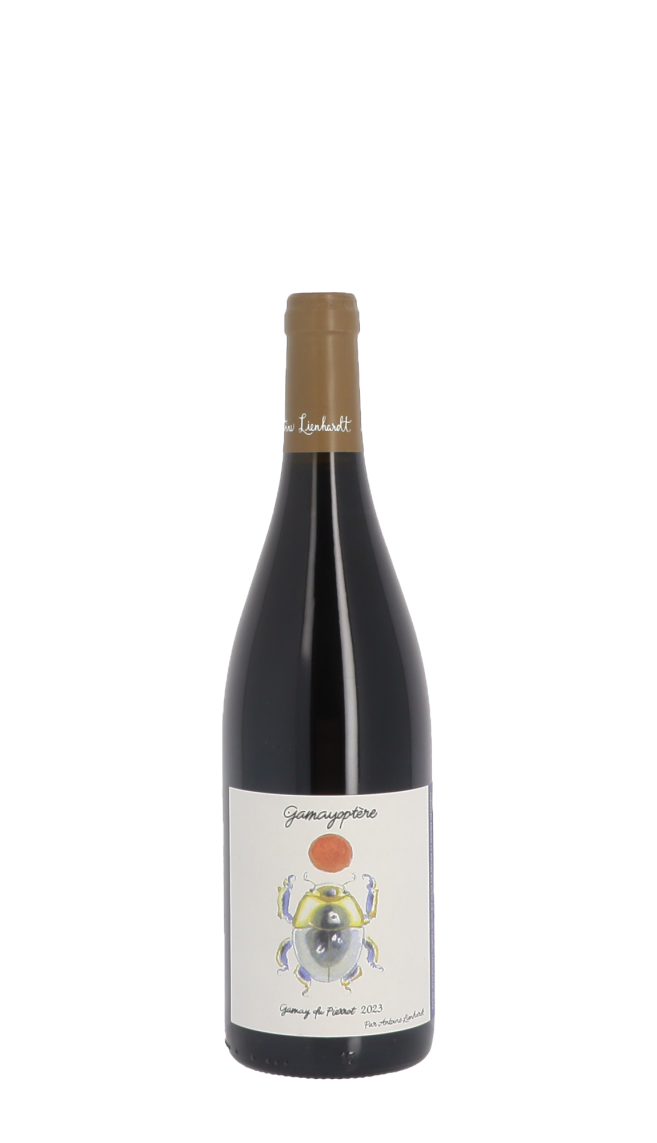 Domaine Antoine Lienhardt Domaine Antoine Lienhardt