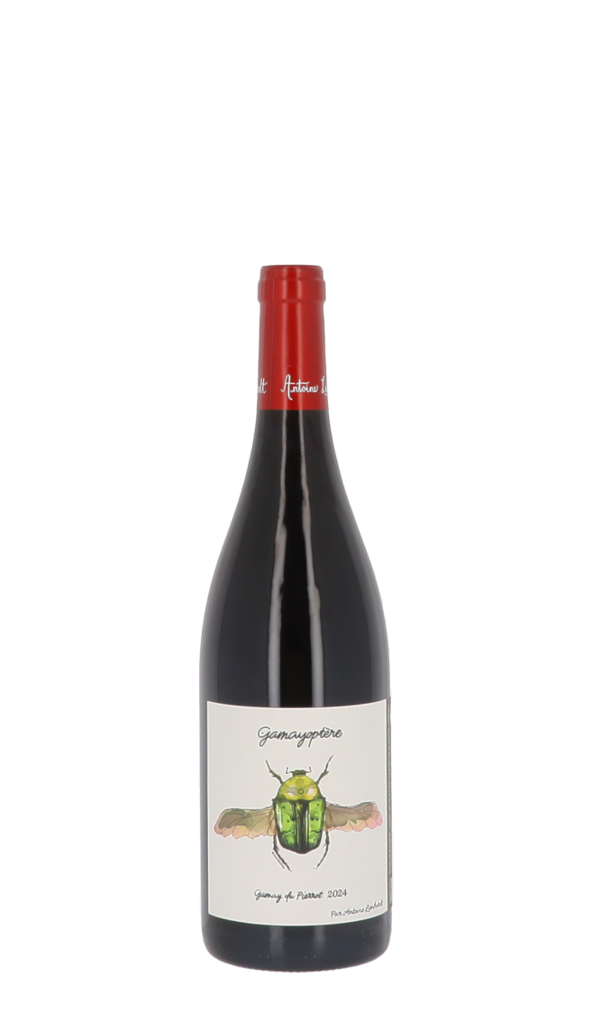 Domaine Antoine Lienhardt