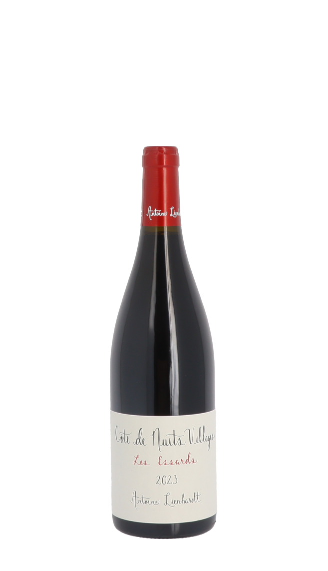 Domaine Antoine Lienhardt Domaine Antoine Lienhardt