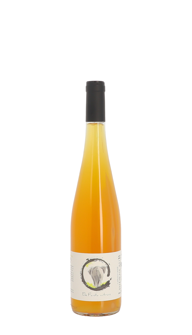 Domaine Christophe Lindenlaub Domaine Christophe Lindenlaub