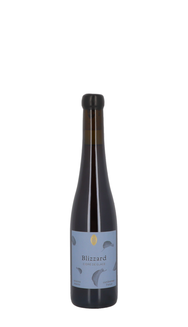 Domaine Antoine Marois
