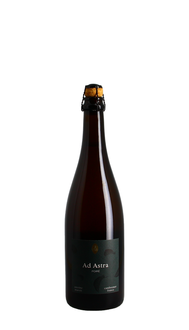 Domaine Antoine Marois