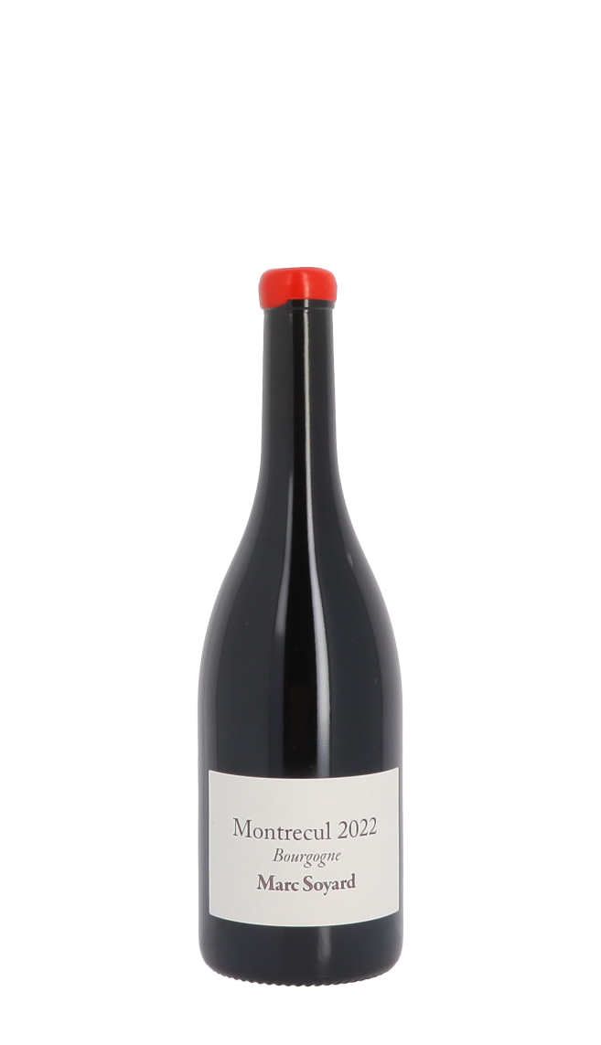 Marc Soyard Marc Soyard