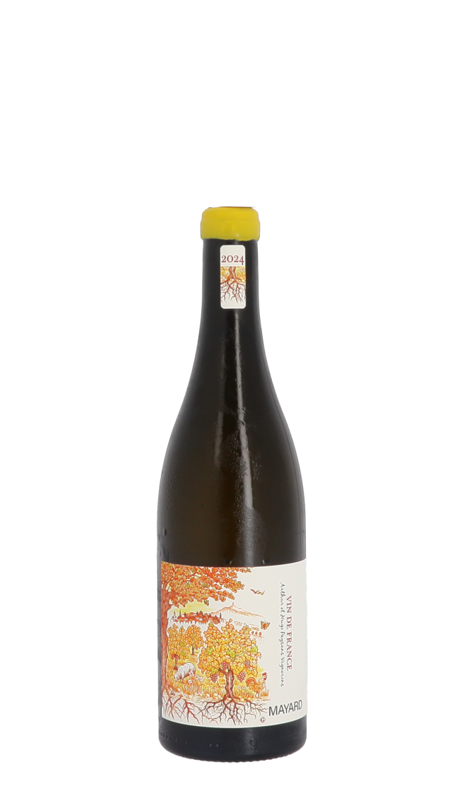 Domaine Mayard 2024 Blanc Domaine Mayard 2024 Blanc