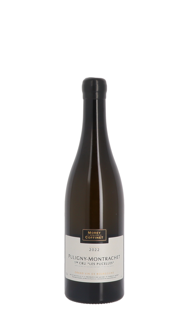 Domaine Morey-Coffinet