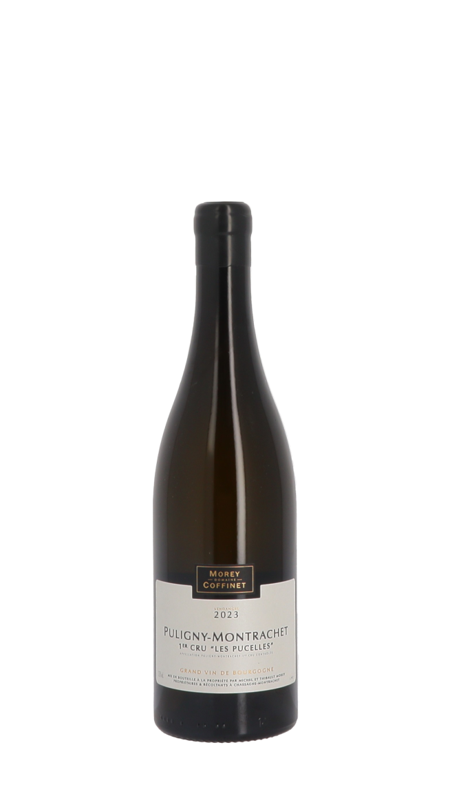 Domaine Morey-Coffinet