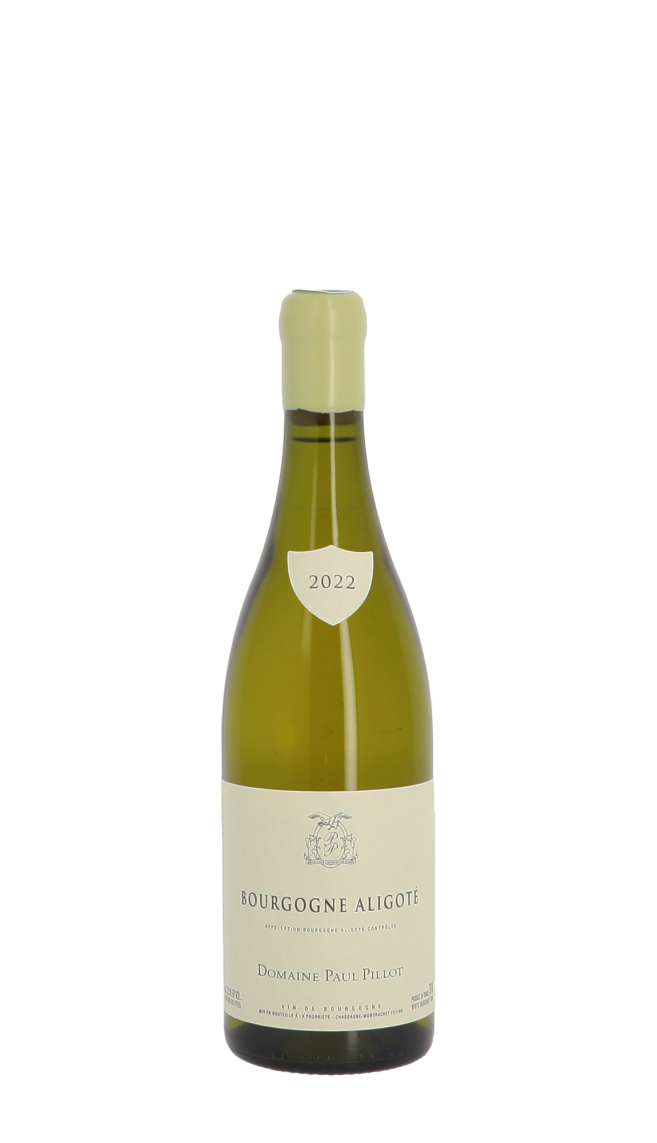 Domaine Paul Pillot 2022 Blanc