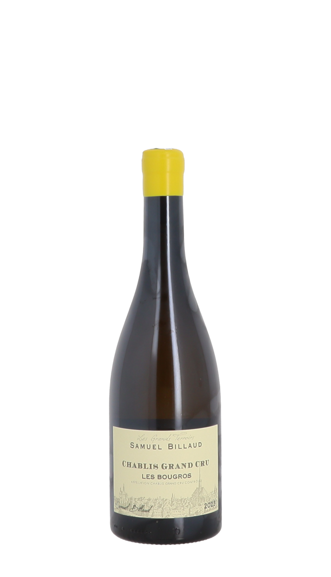 Domaine Samuel Billaud